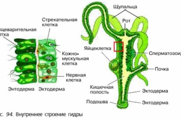 Кракен kr2connect co